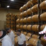 SanAnotinoWinery (September 05, 2023)